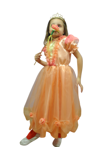 Królowa róż rozm 116